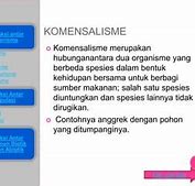 Netralisme Adalah Dan Contohnya Biologi 2 4